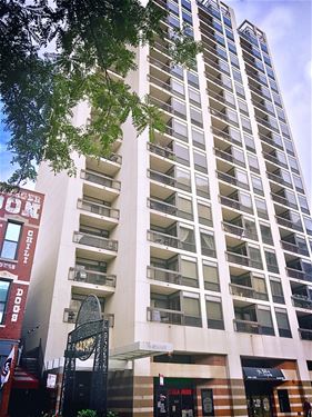 1212 N Wells Unit 1302, Chicago, IL 60610