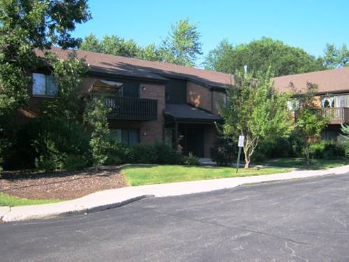 33561 N Royal Oak Unit 202, Grayslake, IL 60030