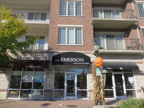 100 S Emerson Unit 403, Mount Prospect, IL 60056