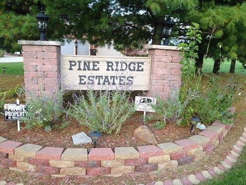 24425 S Pine Ridge, Monee, IL 60449