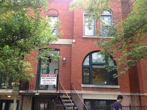 919 S Laflin Unit GARDEN, Chicago, IL 60607
