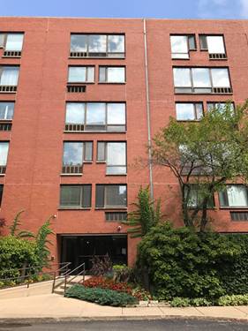 1115 S Plymouth Unit 105, Chicago, IL 60605