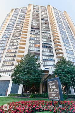 3930 N Pine Grove Unit 1608, Chicago, IL 60613