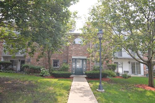 4402 W Shamrock Unit 1D, Mchenry, IL 60050