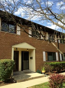 300 Duane Unit 6, Glen Ellyn, IL 60137