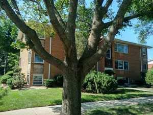 755 Dulles Unit B, Des Plaines, IL 60016