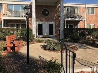 5117 Blodgett Unit 205W, Downers Grove, IL 60515