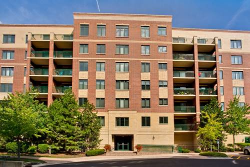 20 S Main Unit 706, Mount Prospect, IL 60056