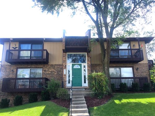 226 Manor Unit 3, New Lenox, IL 60451