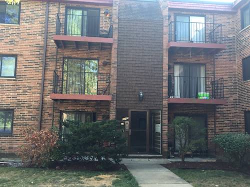 1785 W Algonquin Unit 2A, Mount Prospect, IL 60056