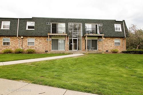 8577 W 101st Unit 6101, Palos Hills, IL 60465