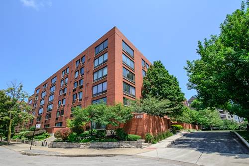 1169 S Plymouth Unit 103, Chicago, IL 60565