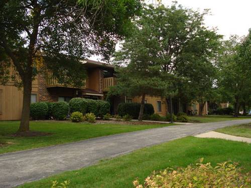 403 Dorchester Unit 107, Roselle, IL 60172