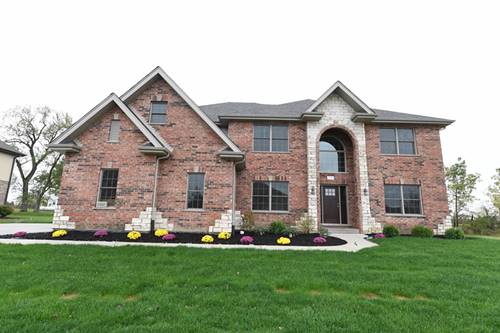 22682 Nature Creek, Frankfort, IL 60423