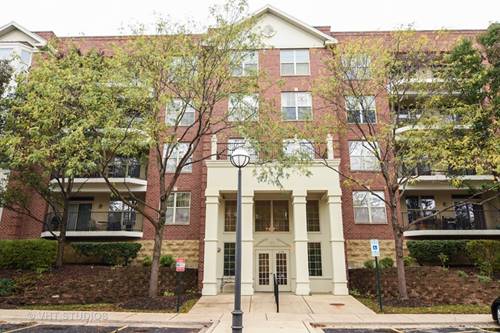 3135 Town Square Unit 304, Rolling Meadows, IL 60008