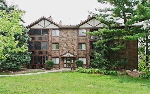 5985 Lakeside Unit 301B, Tinley Park, IL 60477