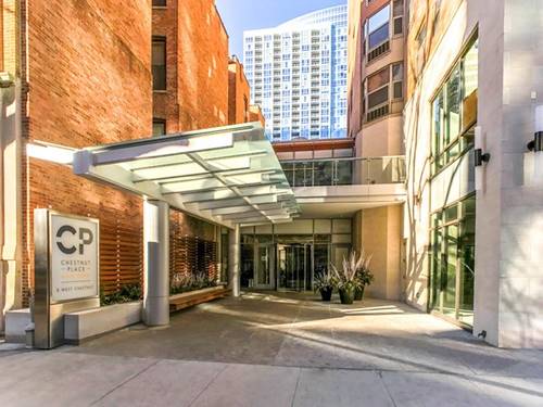 8 W Chestnut Unit 28H, Chicago, IL 60610