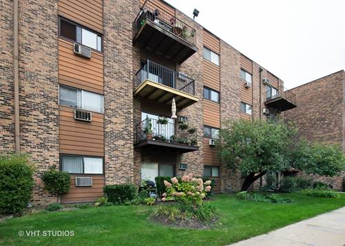 8936 N Parkside Unit 308, Des Plaines, IL 60016