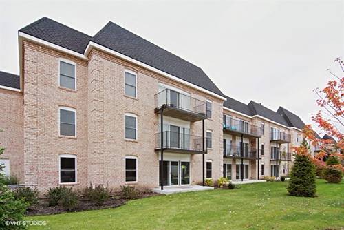 5201 Carriageway Unit 311, Rolling Meadows, IL 60008