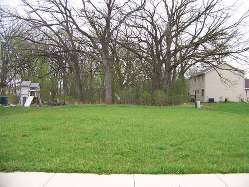 Lot 100 Savanna Grove, Woodstock, IL 60098