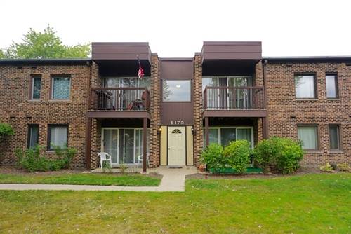 1175 Pleasant Run Unit 409, Wheeling, IL 60090