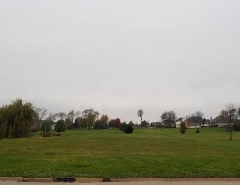 Lot 20 Andrew, Plano, IL 60545