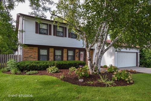 163 E Cedarwood, Palatine, IL 60067