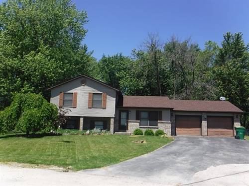 128 N Countryside, Braidwood, IL 60408