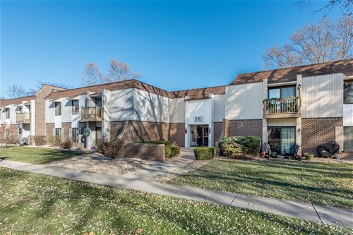 541 73rd Unit 105, Downers Grove, IL 60516