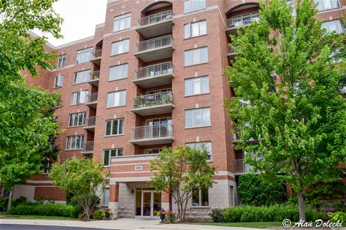 390 S Western Unit 312, Des Plaines, IL 60016