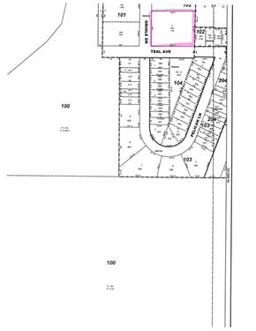 .75 Acre Oriole, Peotone, IL 60468