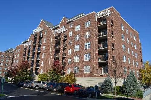 390 W Mahogany Unit 504, Palatine, IL 60067