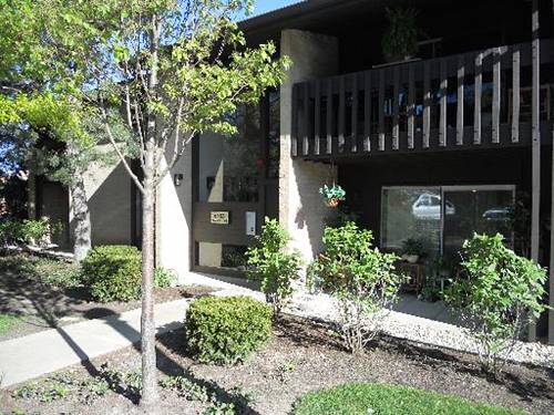 6163 Knoll Wood Unit 204, Willowbrook, IL 60527