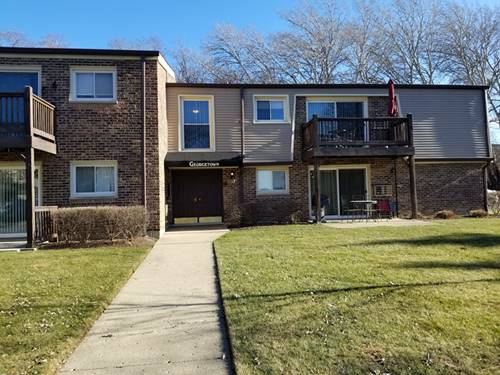 337 N Carter Unit 104, Palatine, IL 60067