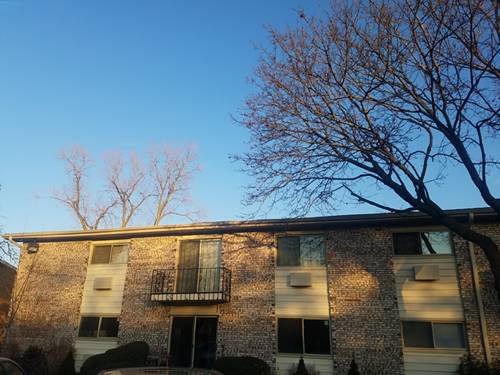 8995 Kennedy Unit 1A, Des Plaines, IL 60016