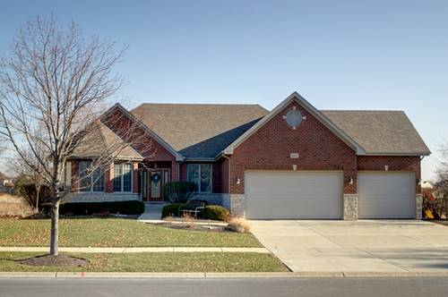 13101 Skyline, Plainfield, IL 60585