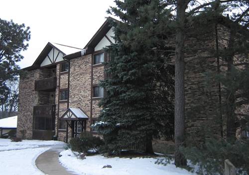 5965 Lakeside Unit 302, Tinley Park, IL 60477