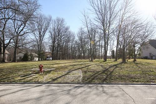 Lot 8 S Vine, Burr Ridge, IL 60527