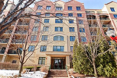 20 S Main Unit 305, Mount Prospect, IL 60056