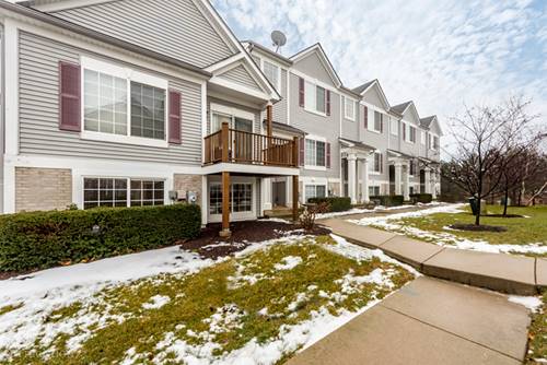 119 Enclave Unit D, Bolingbrook, IL 60440