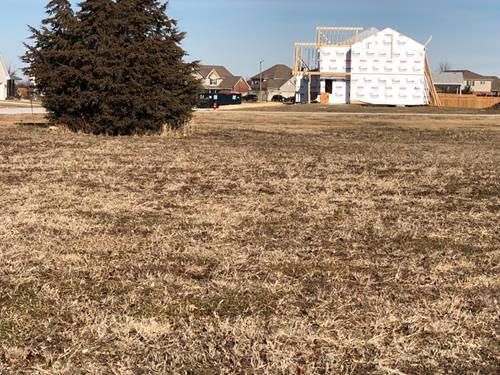 Lot 25 Locust, Peotone, IL 60468