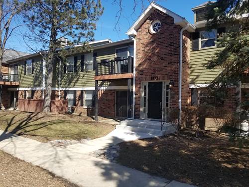 1573 Raymond Unit 104, Naperville, IL 60563