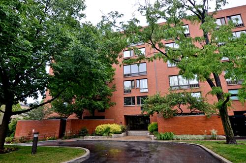 1169 S Plymouth Unit 412, Chicago, IL 60605