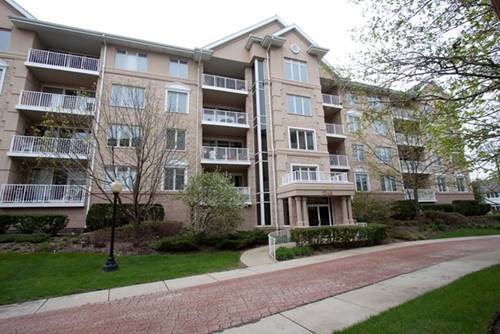 1745 Pavilion Unit 504, Park Ridge, IL 60068