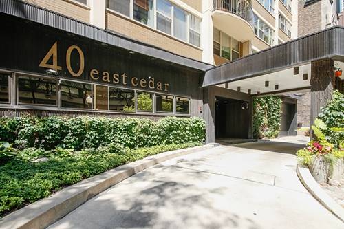 40 E Cedar Unit 17C, Chicago, IL 60611