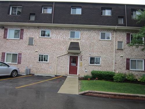 872 S Plum Grove Unit 106, Palatine, IL 60067