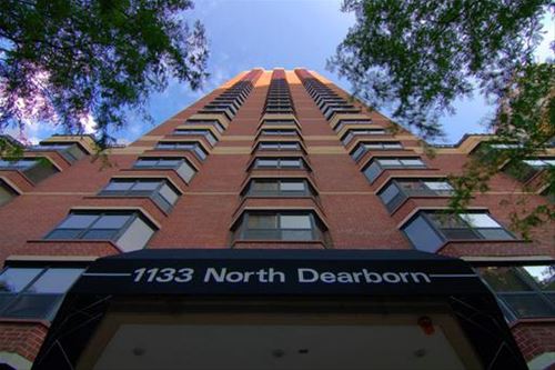 1133 N Dearborn Unit 2202, Chicago, IL 60610