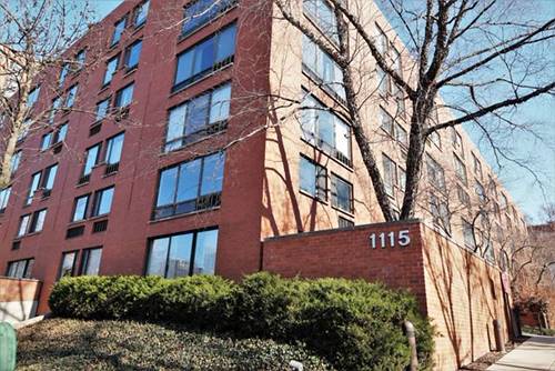 1115 S Plymouth Unit 609, Chicago, IL 60605