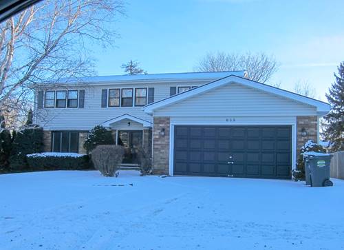 815 E Hintz, Arlington Heights, IL 60004