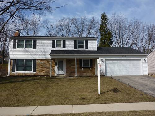 222 N Braintree, Schaumburg, IL 60194